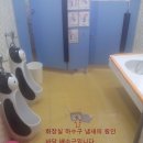 본동어린이집 이미지