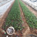 성송농장 이미지