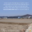 희정농장 네이버블로그