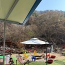 선셋파머스 이미지