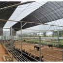 현석농장 이미지