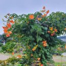 나를 찾아, 인문학 산책 이미지