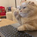 공지로4 | [공지] ✨ 4주차 자바 독학 후기 — 해커스캠퍼스 자바 JAVA 완주!