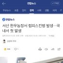 서산 한우농장서 럼피스킨병 발생…국내서 첫 발생 이미지