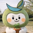 주식회사 네스트