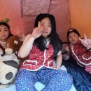 용인대다정태권도