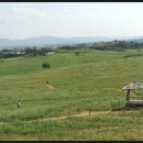 금밭농장 이미지