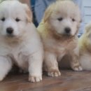 녹수농장 이미지