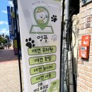 멍플 | 부산 사직동 애견유치원 멍플 강아지 돌봄 데이케어 후기