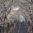 침산공원(C) 이미지