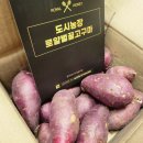 이정환농장 이미지