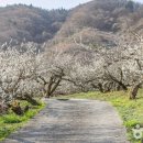 계월농장 이미지