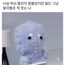우산제5호 어린이공원(무돌) | 산책하는 일상, 성경책 리폼, 포켓몬고 사파리존, 일산호수공원, 카드지갑 신상 만들기, 집에서 가죽공예