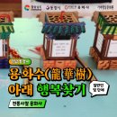 용화수 이미지