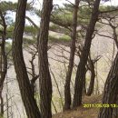 백두대간로 이미지