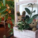 가조로타리 이미지