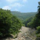 욋골 네이버블로그