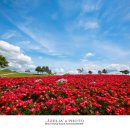 의성조문국사적지 이미지