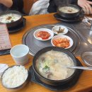에나하우스 | 6개월차 해외마케터의 일상(연관성 전혀 없고 그냥 여기저기 다니는 서울살이🐛🌳🍀)