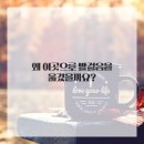 살랑살롱 | 봄바람 살랑, 머리에도 생기를 불어넣었잖아요!