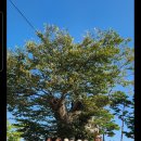 영동 일라이트 휴양빌리지 | 영동 와인 터널 영동 일라이트 휴양 빌리지