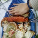 강태공회 이미지