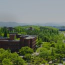 영남대학교 정문 이미지