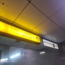 피닉스전자식당 | 교동술집 피닉스전자식당 내돈내산 후기