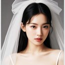 하이디솔루션 이미지