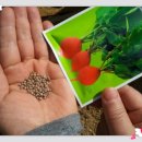 성심예아뜨어린이집 이미지