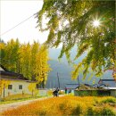 하천1리  마을회관 | 경주 은행나무 명소 도리마을 실시간 11/06 경주 가을 여행지 추천