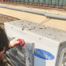 양지고등학교 이미지