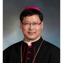 [서울대교구] 2026년 사목교서 이미지