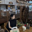 닮아가다 | 임산부 빵순이의 해운대 나들이🍞 ㅣ해운대카페 스탠다드브레드 내돈내산 후기