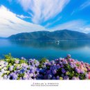 비커밍풀빌라펜션 이미지