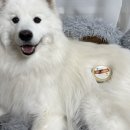 개발바닥 | [리브포굿] 더모센트 바이오 밤 : 우리 애기 발바닥 말랑해지는 마법💛 솔직 후기