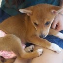 금오동물병원 이미지