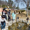 문백초등학교 이미지