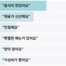 전현무계획2 문어숙회 골뱅이 삼척 술집 정상동