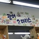 광어2마리스