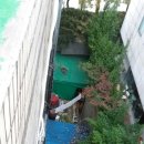 늘푸른서울치과 이미지