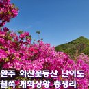 예곡 | 완주 화산꽃동산 철쭉 개화상황, 주차 난이도까지 정리한 완주 봄꽃 명소 후기