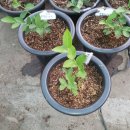 기산농장 이미지