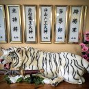 아4리_마을회관 | 인생 갈림길에서 만난 제천점집, 행운암 솔직 후기!