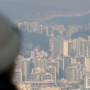 리얼부동산중개 이미지