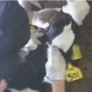 농고목장 이미지