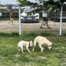 예당 앤 다울 이미지