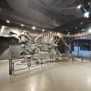 우주리싸이클 | 겨울철 실내 놀이터 '디스커버스 의왕' 방문 후기