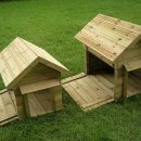 멍멍이집 이미지