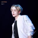 윙스투어